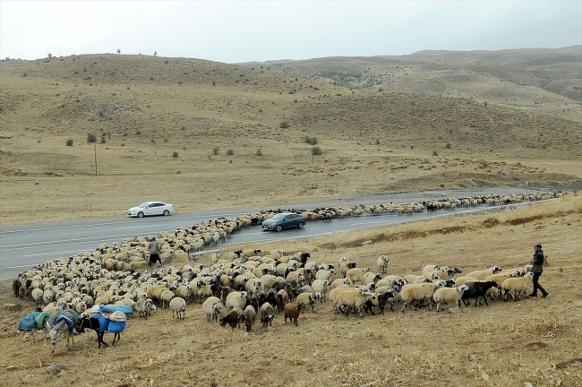 Göçerlerin Şanlıurfa'ya zorlu dönüş yolculuğu